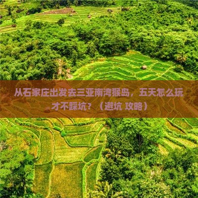 石家庄前往三亚南湾猴岛五日游