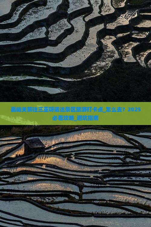嘉峪关前往三亚呀诺达景区旅游打卡点