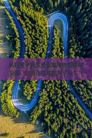 石河子去三亚亚龙湾热带森林公园旅游小吃