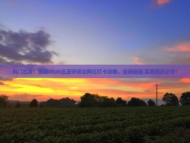 荆门去三亚呀诺达景区旅游网红地点