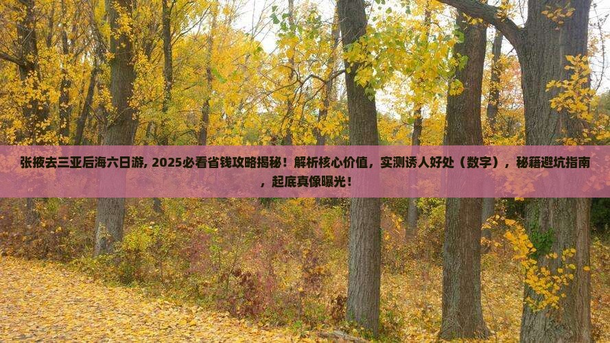张掖去三亚后海六日游
