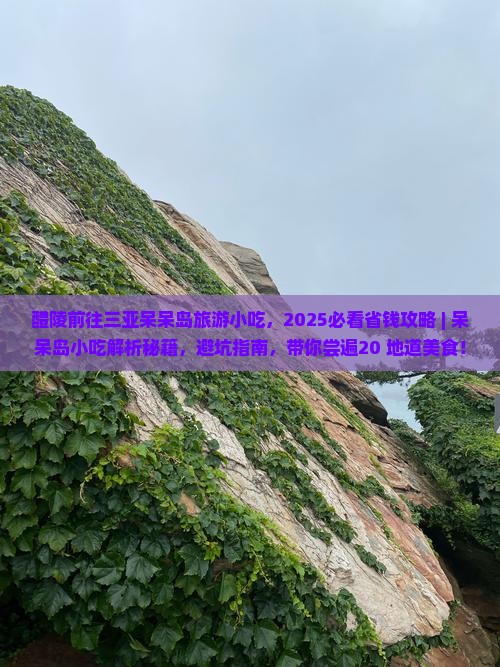 醴陵前往三亚呆呆岛旅游小吃