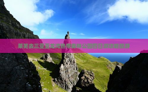 莱芜去三亚亚龙湾热带森林公园四日游