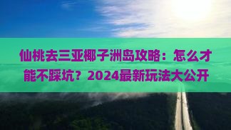 仙桃去三亚椰子洲岛攻略