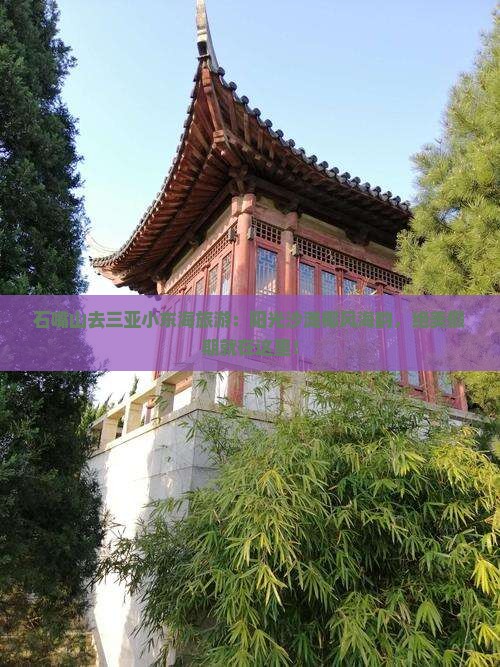 石嘴山去三亚小东海旅游