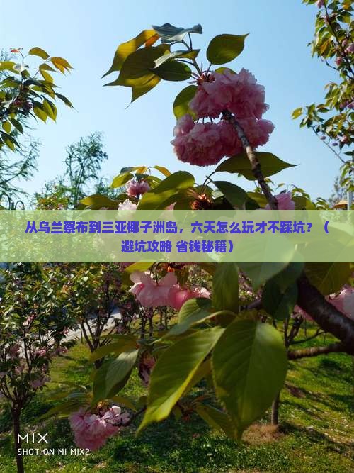 乌兰察布去三亚椰子洲岛六日游