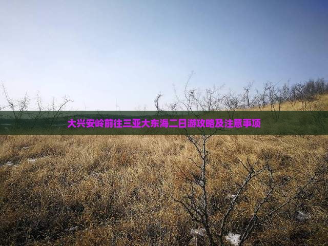 大兴安岭前往三亚大东海二日游