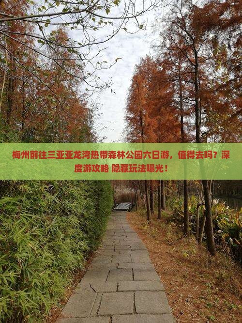 梅州前往三亚亚龙湾热带森林公园六日游