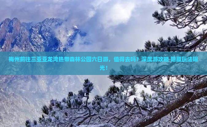 梅州前往三亚亚龙湾热带森林公园六日游