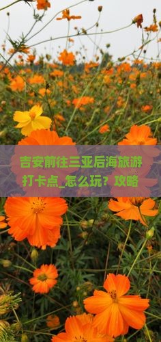 吉安前往三亚后海旅游打卡点