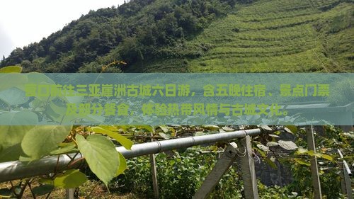营口前往三亚崖洲古城六日游