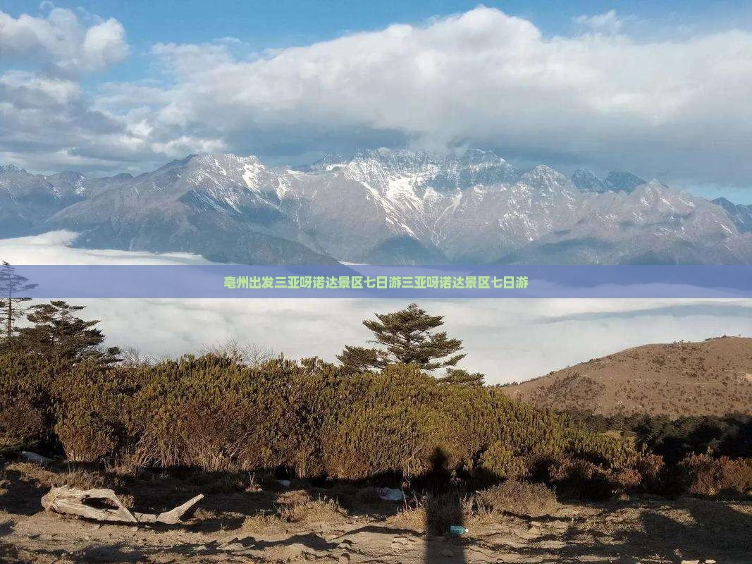 亳州出发三亚呀诺达景区七日游