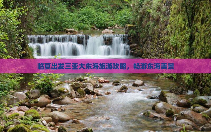 临夏出发三亚大东海自由行