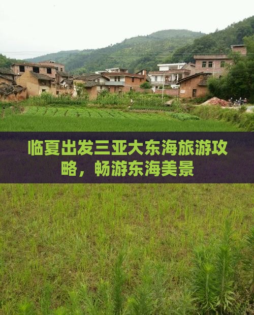临夏出发三亚大东海自由行