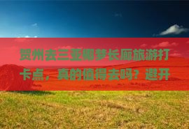 贺州去三亚椰梦长廊旅游打卡点