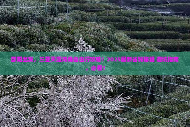 邵阳前往三亚天涯海角自由团