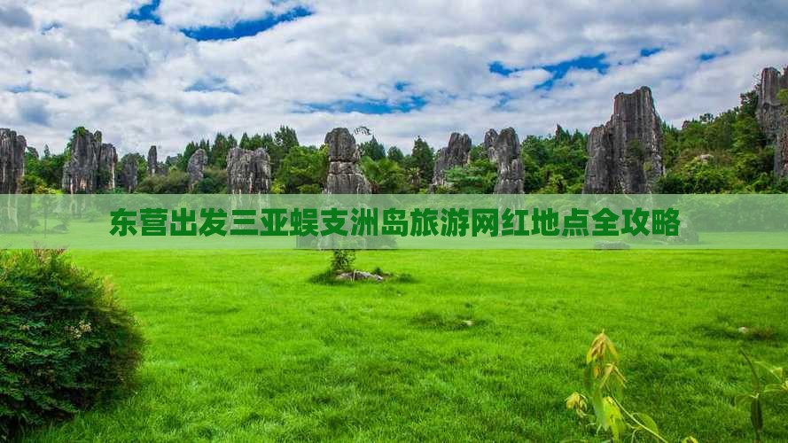 东营出发三亚蜈支洲岛旅游网红地点
