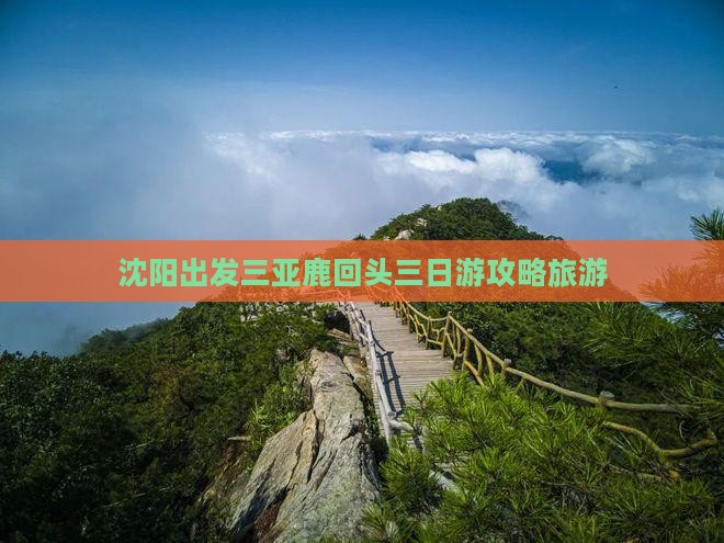 沈阳出发三亚鹿回头三日游