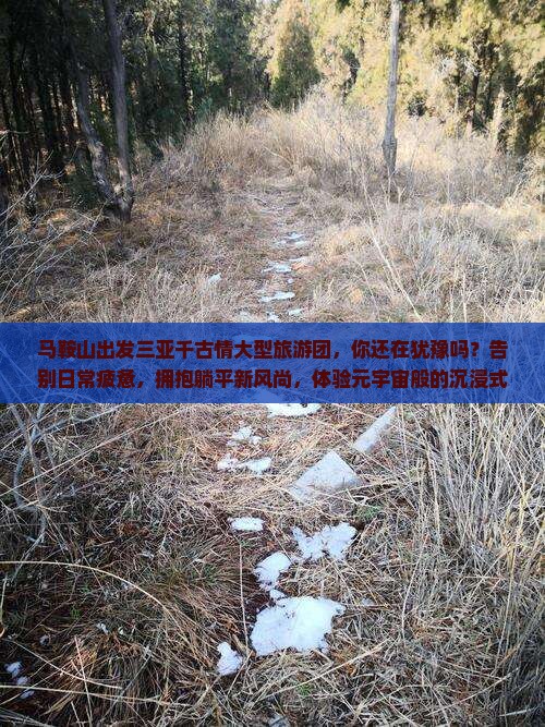 马鞍山出发三亚千古情大型旅游团