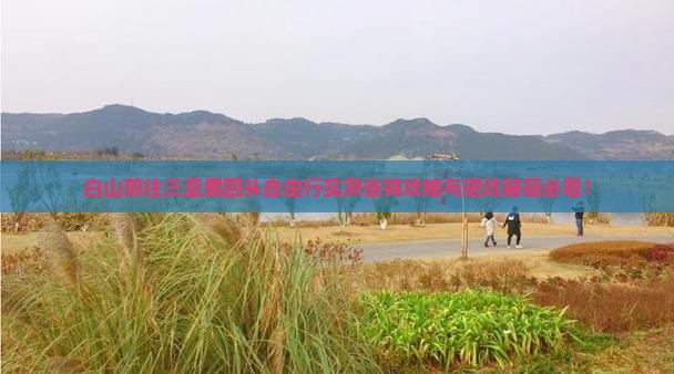 白山前往三亚鹿回头自由行
