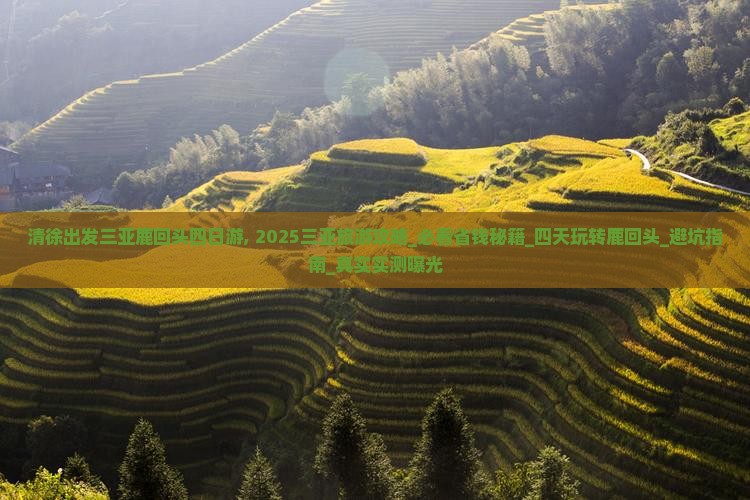 清徐出发三亚鹿回头四日游