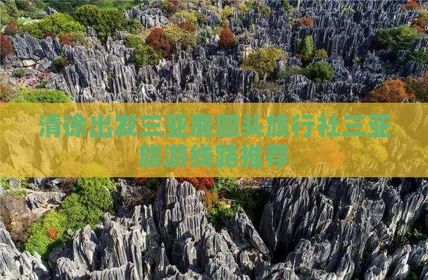 清徐出发三亚鹿回头旅行社