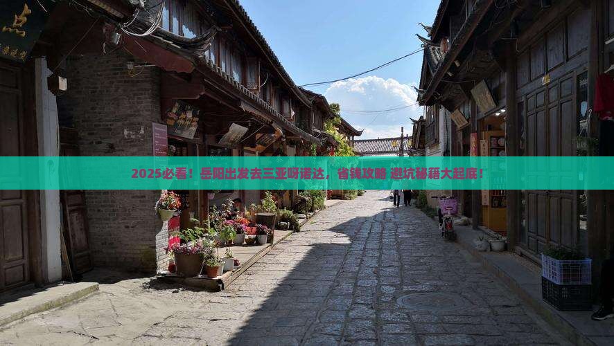 岳阳前往三亚呀诺达景区旅行社