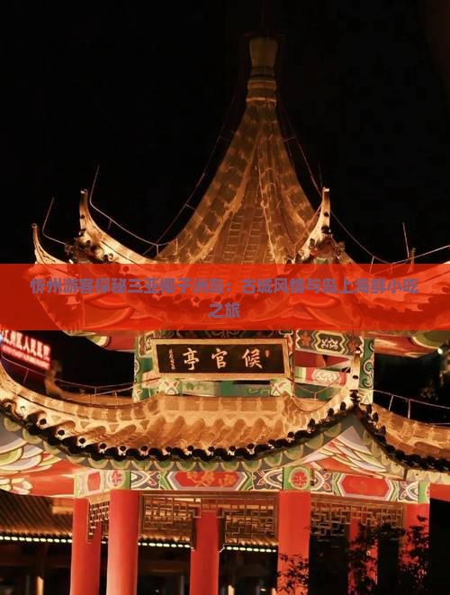 忻州游客探秘三亚椰子洲岛：古城风情与岛上海鲜小吃之旅