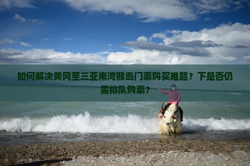 如何解决黄冈至三亚南湾猴岛门票购买难题？下是否仍需排队购票？