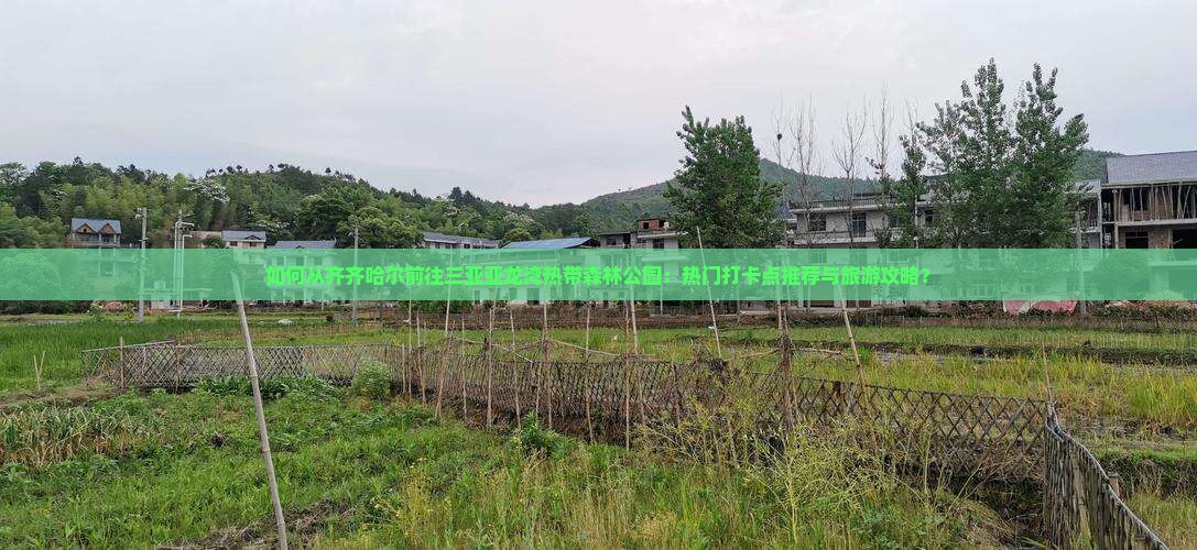 如何从齐齐哈尔前往三亚亚龙湾热带森林公园：热门打卡点推荐与旅游攻略？