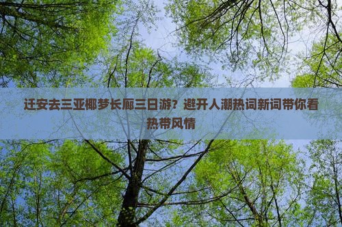 迁安去三亚椰梦长廊三日游？避开人潮热词新词带你看热带风情