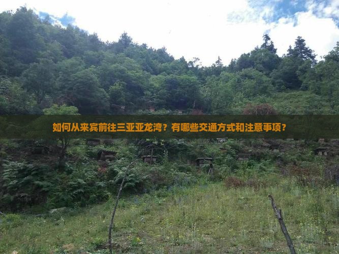 如何从来宾前往三亚亚龙湾？有哪些交通方式和注意事项？
