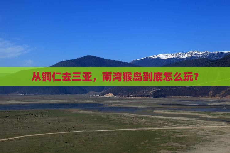 从铜仁去三亚，南湾猴岛到底怎么玩？