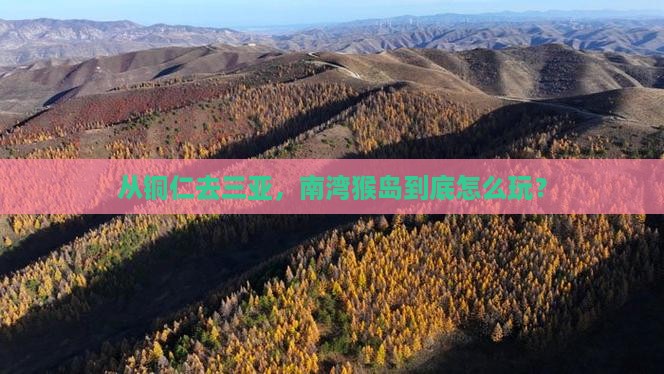从铜仁去三亚，南湾猴岛到底怎么玩？