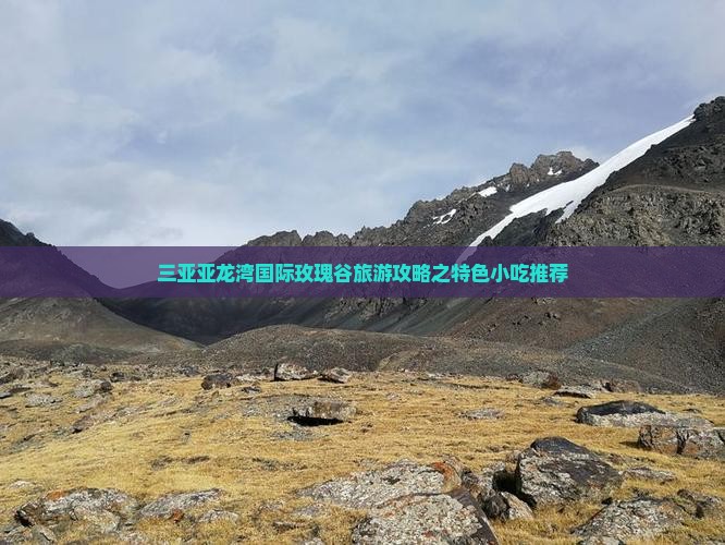三亚亚龙湾国际玫瑰谷旅游攻略之特色小吃推荐