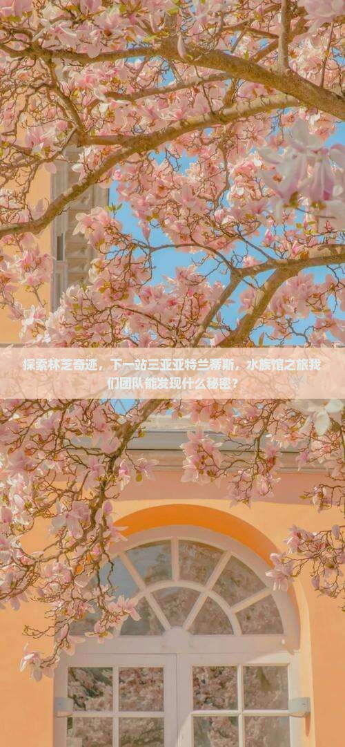 探索林芝奇迹，下一站三亚亚特兰蒂斯，水族馆之旅我们团队能发现什么秘密？
