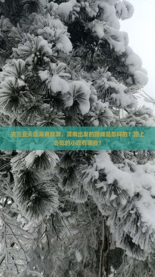 去三亚天涯海角旅游，渭南出发的路线是怎样的？路上必吃的小吃有哪些？