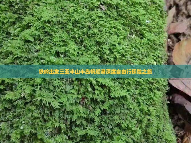 铁岭出发三亚半山半岛帆船港深度自由行探险之旅