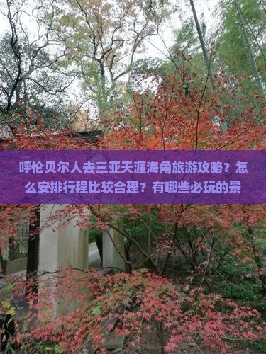 呼伦贝尔人去三亚天涯海角旅游攻略？怎么安排行程比较合理？有哪些必玩的景点和特色体验？