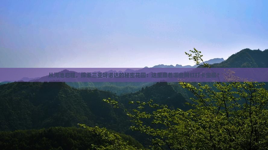 从河池启程，探索三亚呀诺达的秘密花园：这里藏着哪些网红打卡宝藏？