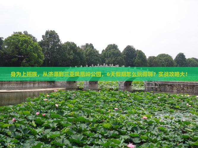 身为上班族，从济源到三亚凤凰岭公园，6天假期怎么玩得嗨？实战攻略大！