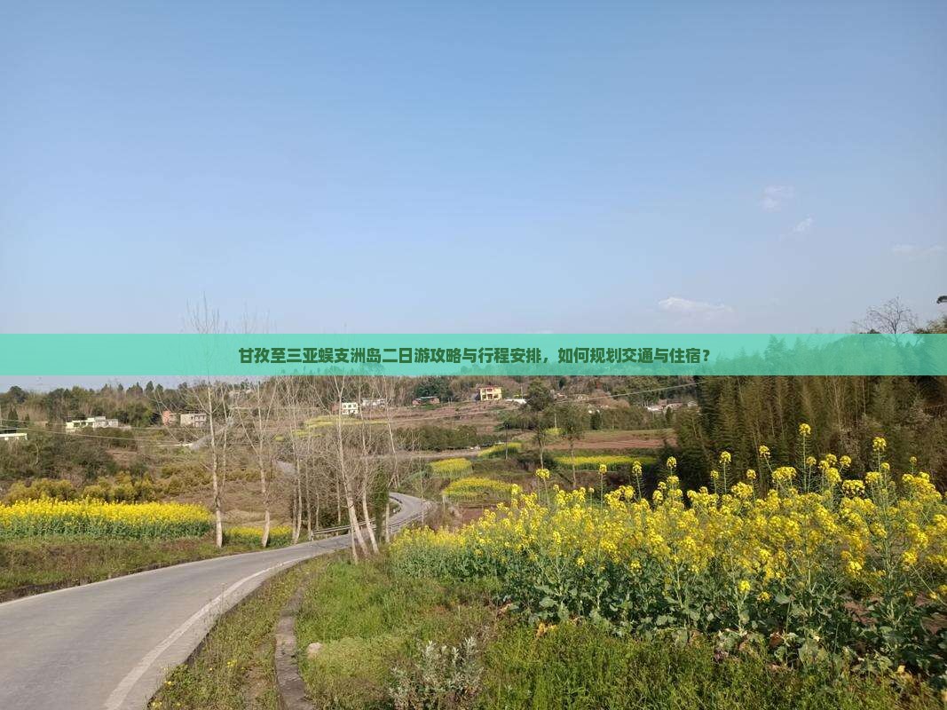 甘孜至三亚蜈支洲岛二日游攻略与行程安排，如何规划交通与住宿？