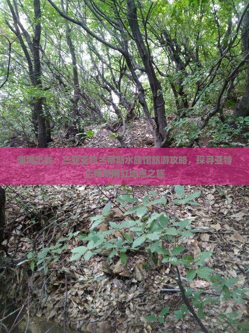 淄博出发：三亚亚特兰蒂斯水族馆旅游攻略，探寻亚特兰蒂斯网红地点之旅