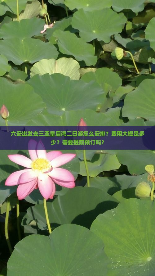 六安出发去三亚皇后湾二日游怎么安排？费用大概是多少？需要提前预订吗？