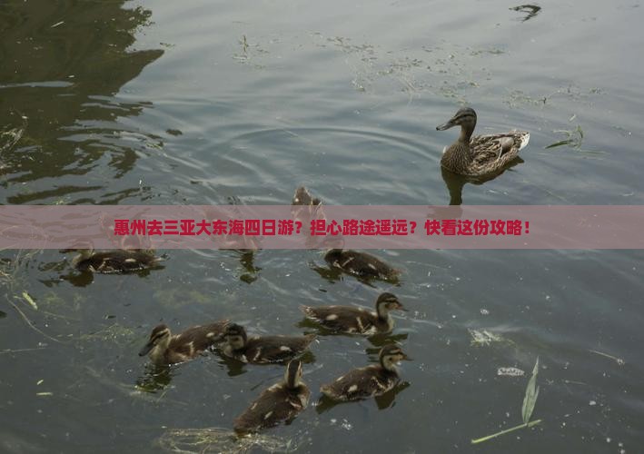 惠州去三亚大东海四日游？担心路途遥远？快看这份攻略！