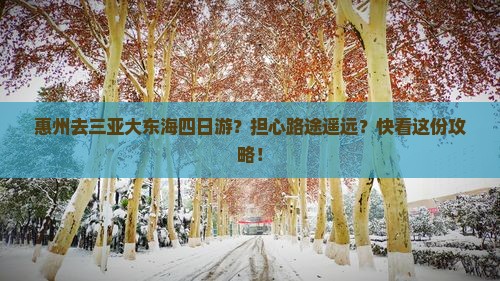 惠州去三亚大东海四日游？担心路途遥远？快看这份攻略！
