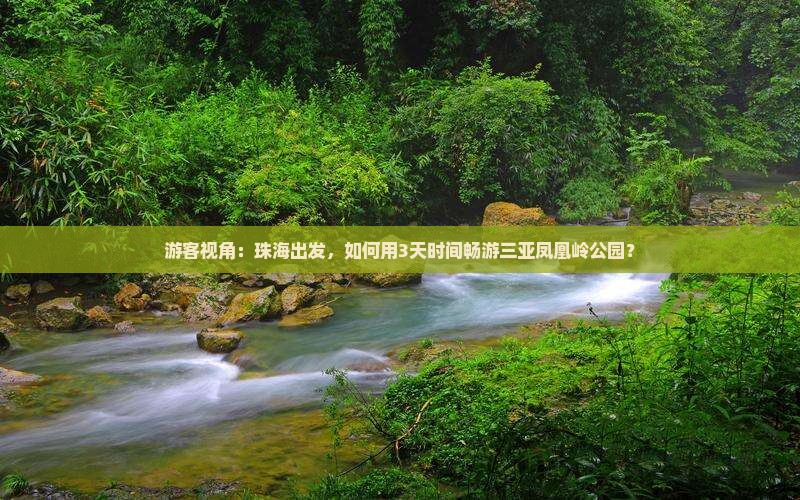 游客视角：珠海出发，如何用3天时间畅游三亚凤凰岭公园？