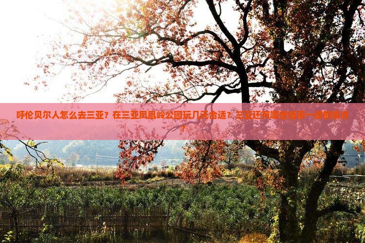 呼伦贝尔人怎么去三亚？在三亚凤凰岭公园玩几天合适？三亚还有哪些值得一游的景点？