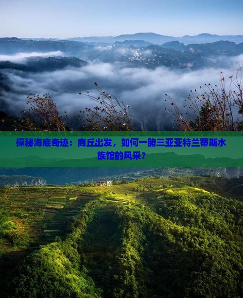 探秘海底奇迹：商丘出发，如何一睹三亚亚特兰蒂斯水族馆的风采？