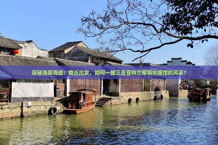 探秘海底奇迹：商丘出发，如何一睹三亚亚特兰蒂斯水族馆的风采？